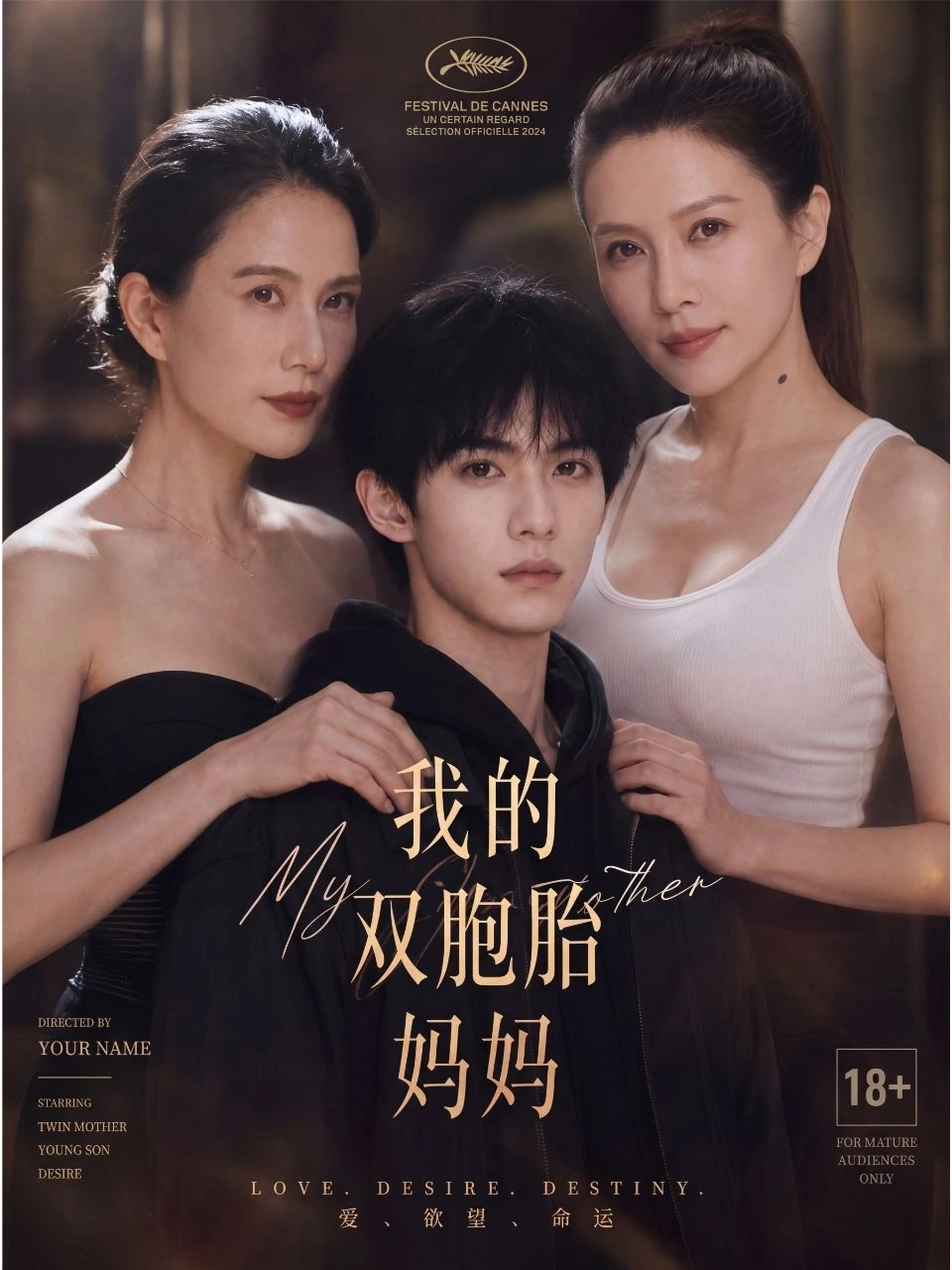 我的双胞胎妈妈海报